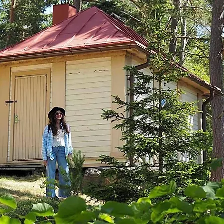 Kivisaari Hotel *